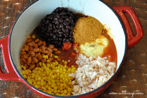 Featured image of post Easiest Way to Make Easy Chicken Tortilla Soup Recipe Taco Seasoning